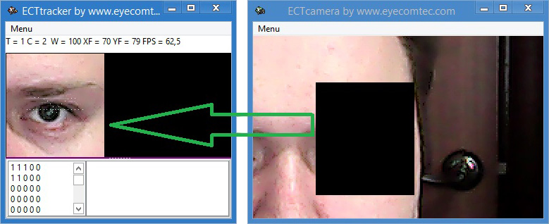 Capturing fragment of the image from ECTcamera with ECTtracker target window