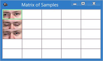 Matrix of Samples filled through automatic calibration procedure