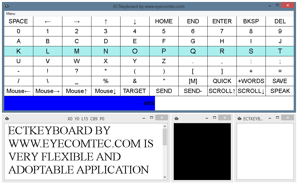 Program windows with and without frames