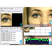 The main interface of the program